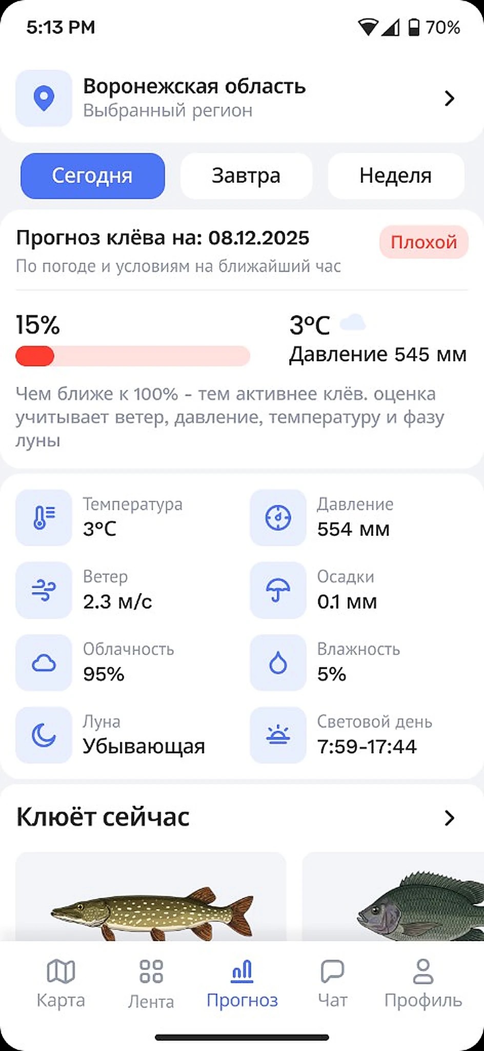 Экран прогноза клёва в Клевке